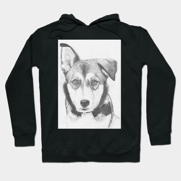 Husky Shepherd Cross with Blue Eyes Hoodie by DavidASmith